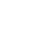 icons8-phone-100 (1)